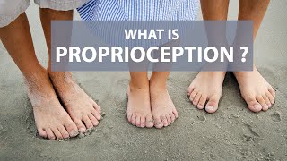 What is Proprioception [upl. by Nicoli]