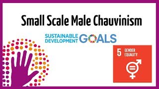 What Is Small Scale Male Chauvinism [upl. by Katzen]