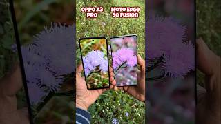 Oppo A3 Pro vs Motorola Edge 50 Fusion Camera Test oppoa3pro edge50fusion trending shorts [upl. by Ydnim903]