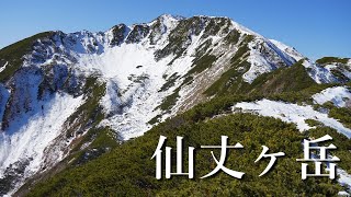 【登山】南アルプスの女王、仙丈ヶ岳。北沢峠より日帰り登山 [upl. by Anilocin620]