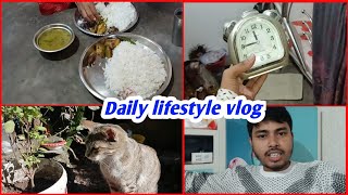 my daily lifestyle vlog❤  Bengali vlog [upl. by Adnauqahs]