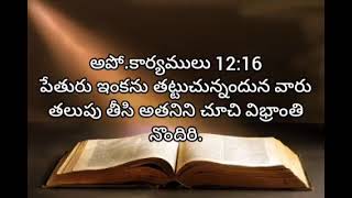 acts of apostles  chapter 12  living words tanuku  telugu audio bible [upl. by Dierdre]