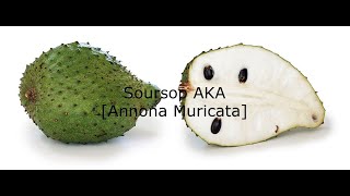 Facts You Dont Know Soursop AKA Annona Muricata 1 of the Best superfood ￼amp it’s a fruit too ￼ [upl. by Hanni]