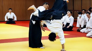 Amazing Aikido in Taiwan [upl. by Brendon]