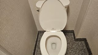 TR 39 Why Buying a New American Standard Cadet Pro Toilet is a Waste of Time [upl. by Margo]