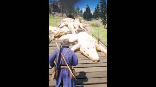 I Bet you NEVER Saw this Before in Red Dead Redemption 2 Gameplay [upl. by Esli112]