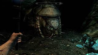 Skyrim Shellbug Location 2 Sharpslope Cave both entrances [upl. by Deeas240]