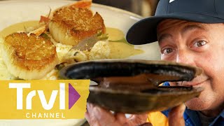 Diving for Scallops in Newfoundland  Bizarre Foods with Andrew Zimmern  Travel Channel [upl. by Cooke55]