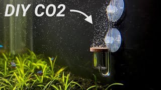 DIY CO2 For Planted Aquarium Cheap and Easy [upl. by Anahsal]