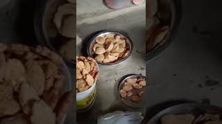 food vlog panipuri foodie streetfood ytshorts chath chhath thekuva 🙏🙏🙏 [upl. by Aracat271]