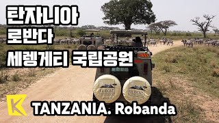 탄자니아 여행로반다 Tanzania TravelRobanda 세렝게티 국립공원Serengeti National ParkLodgeHotair balloon [upl. by Enna]