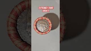 Top US Coins Very Rare 1864 L Indian Head Cent Coin Roll Hunting Ebay Estate Sale Find unboxing [upl. by Ttnerb177]