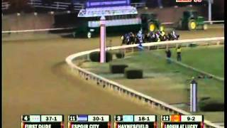 ZENYATTA  Final Career Race 20thavi [upl. by Slocum478]