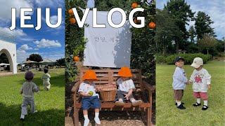 Vlog 17개월 아기 쌍둥이 인생 첫 비행기 제주도 7일 살기 기록 ✈️ [upl. by Iy]