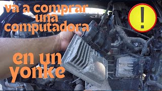 VAS A COMPRAR LA COMPUTADORA DE TU AUTO EN UN YONKE CHECA EL VIDEO TE CUIDADO [upl. by Ahsenhoj]