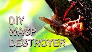 How To Get Rid Of Wasps [upl. by Onnem]