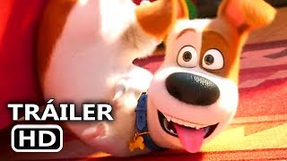 La Vida Secreta De Tus Mascotas 2  Trailer 4 Universal Pictures Latam HD [upl. by Anavoig464]