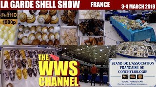 Thousands of seashells  La Garde Shell Show 2018 France Sea shell Collection [upl. by Holzman]