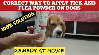 How To Apply Anti Tick And Flea Powder On Dogs  Correct Way To Use  Get Rid of Fleas From Dogs [upl. by Frydman620]