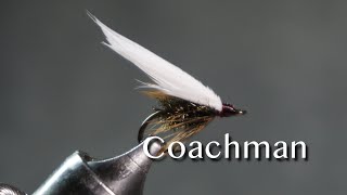 Coachman from Favorite Flies and Their Histories 1892 by Mary Orvis Marbury [upl. by Avlasor674]