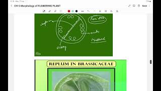 NCERT BIOLOGY  NEET  CLASS 11  CHAPTER 5  MORPHOLOGY OF FLOWERING PLANTS  SEMI TECHNICAL DESC [upl. by Asyal]