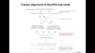 20171013 Bisulfite Sequencing Theory and Quality Control Dr Felix Krueger [upl. by Latini508]