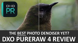 DxO PureRaw 4 Review  Just Hype [upl. by Nolyag206]