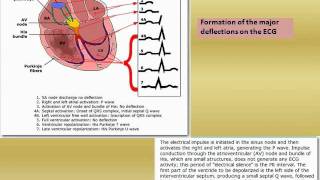 ECG tutorial Basic principles of ECG analysis 001 [upl. by Notsahc52]