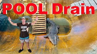 Alligator Pool FULL Drain [upl. by Peg873]