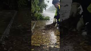 Emergency Drain Clearing Unclogging StormFlooded Streets [upl. by Arikihs]