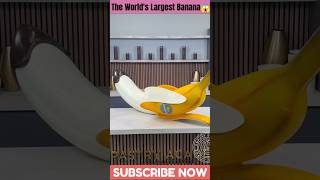 The Worlds Largest Banana🍌😱ytshorts shortfeed youtubeshorts unitedstates [upl. by Dimo]