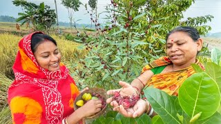 আজ আমাদের শীতের সব্জী বাগান ঘুরে আপনাদের দেখালাম [upl. by Atiekan]