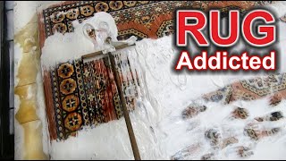 Rug Cleaning 8 [upl. by Nance]