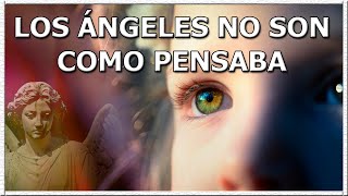 EL ENCUENTRO CON LOS ÁNGELES 🌸 Vida después de la Muerte  Testimonios Reales [upl. by Tertias231]