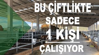 Bu Çiftlikte Sadece 1 Kişi Çalışıyor [upl. by Geordie480]