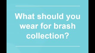 6 Brash Collection What to wear [upl. by Niaz]