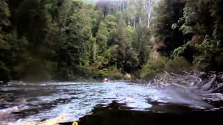 Pieman River Tasmania [upl. by Eelarbed]