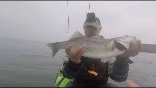 kayak fishing for Bass [upl. by Janeczka]