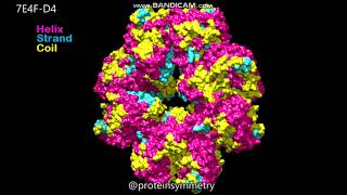 7E4F  Dihedral D4 symmetry  Molecular surfaces [upl. by Myrna]