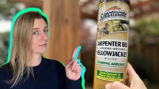 Eliminate Carpenter Bees and Yellow Jackets Fast With This [upl. by Shaylyn]