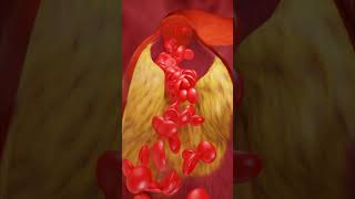 How Blood Flows Inside Your Body ANIMATION [upl. by Targett]