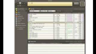 Program P2P Bearshare Tutorial [upl. by Yelkao984]