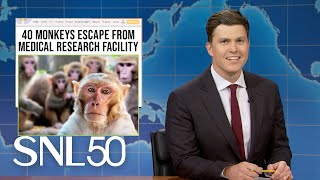 Weekend Update 43 Monkeys Escape Research Facility Moo Dengs New Rival  SNL [upl. by Koenraad]