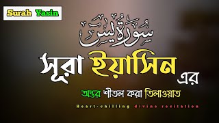 Surah Yaseen  Episode 318  Yasin  Quran Recitation  22 August 2023  Quran Tilawat  Pqhdj rics [upl. by Arihsan]