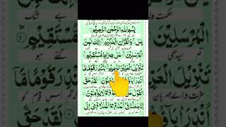 Surah Yasin  Surah Yaseen shorts surahyaseen surahyoutubeshorts short [upl. by Aligna]