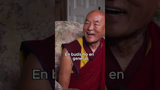 Parte 13  ¿Budismo y Ciencia dicen lo mismo  Entrevista Dr Manuel Sans y Lama Thubten Wangchen [upl. by Anaig]