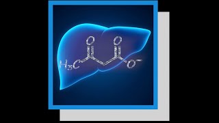 PHYSIPATHOLOGIE DE LA CETOGENESE PARTIE 3 [upl. by Forcier183]