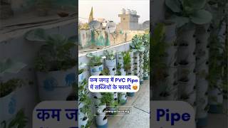 कम जगह में PVC Pipe में सब्ज़ियों के ये फायदे जान लो 😍 8527353130 [upl. by Arihday]