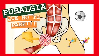 PUBALGIA Estiramiento y ejercicios de FISIOTERAPIA  QUE NO TE PARE [upl. by Pauline]