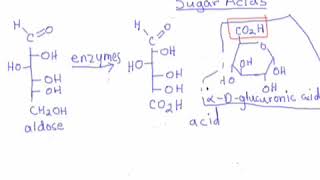 85 Carbohydrates  Sugar Acids Periodic Acid Oxidation amp the Rings of DFructose and DRibose [upl. by Martinic885]